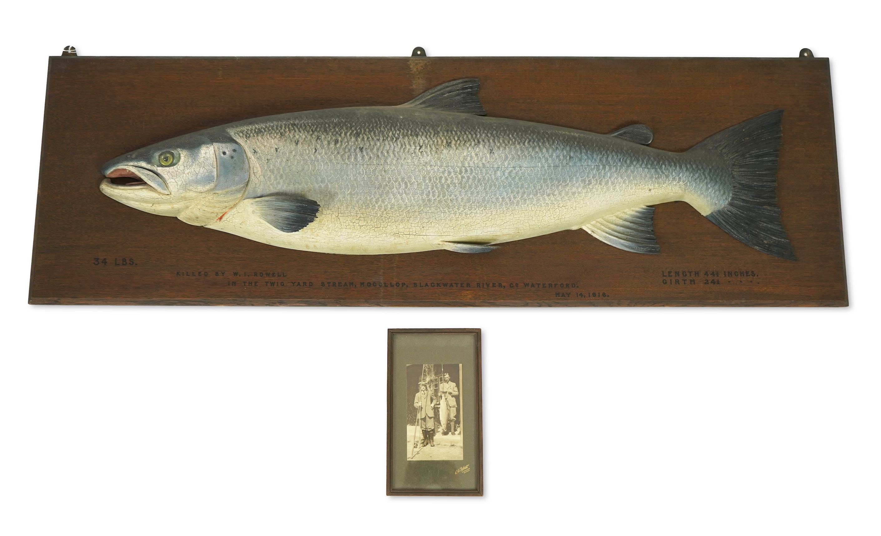 Attributed to John and Dhuie Tully of Fochabers: A painted half block model of an Atlantic Salmon, dated 1916